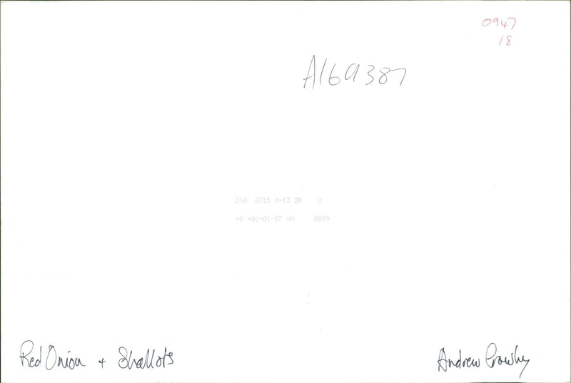 Red Onions and Shallots - Vintage Photograph