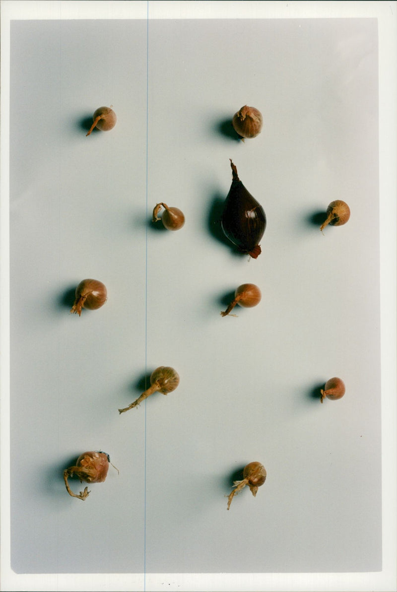 Red Onions and Shallots - Vintage Photograph