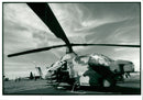 Helicopter Bell Viper - Vintage Photograph
