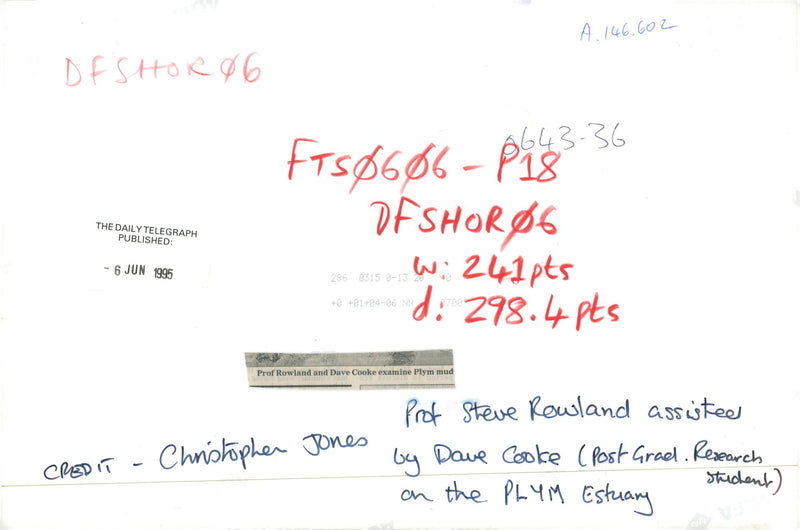 Algae - Vintage Photograph