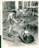 Prince Charles Going To School in the Bush. - Vintage Photograph