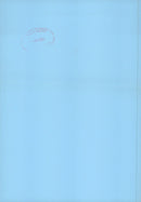 Wrens Expedition to Mount Kota Kinabalu - Vintage Photograph