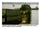 Unloading Lundy animals from landing craft. - Vintage Photograph