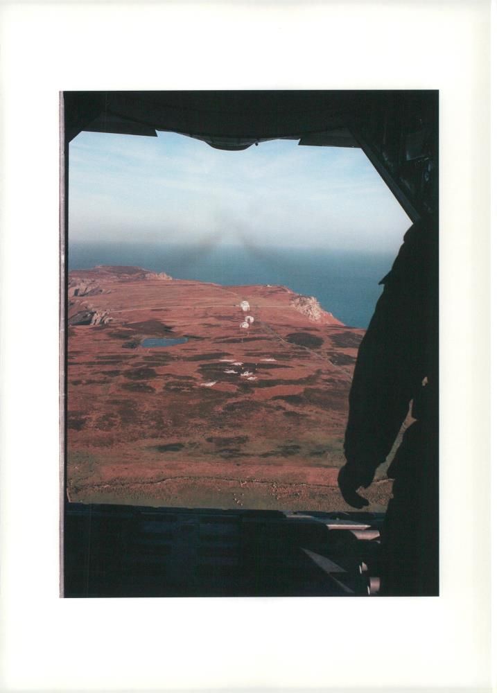 The animal food lands on Lundy. - Vintage Photograph