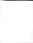 433 Squadron Logo, The Flight Cocks - Vintage Photograph