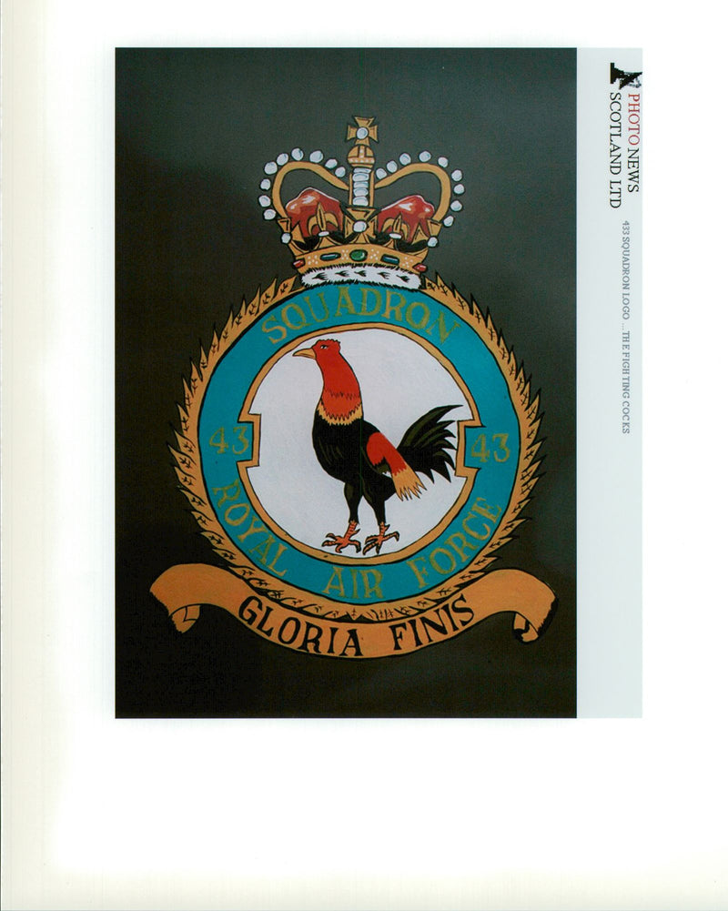 433 Squadron Logo, The Flight Cocks - Vintage Photograph