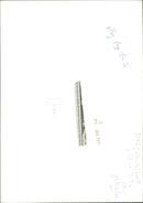 Aduenas,Fat Cat Aimed At Making The Consumer. - Vintage Photograph