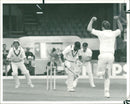cricket - Vintage Photograph