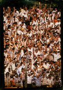 Cricket - Vintage Photograph