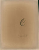 Africa: cameroun Republic. - Vintage Photograph