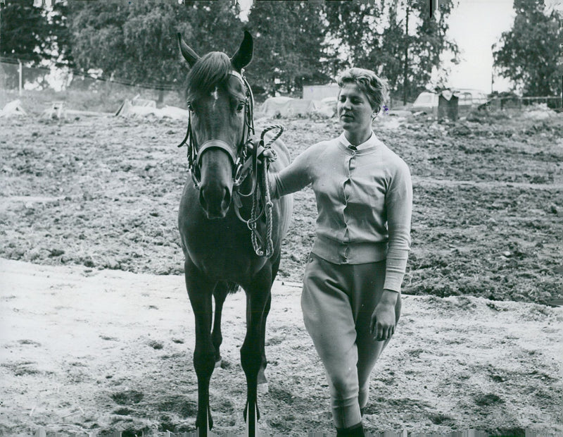 The racetrack. Marie Skovgaard leads a Christmas blood into the stable - Vintage Photograph