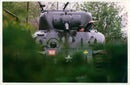 WWE Sherman tank - Vintage Photograph