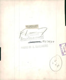 Golden eagle. - Vintage Photograph