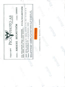 SWEDEN ANIMALS IMAGE DELIVERY CODE FOLLOWING AND - Vintage Photograph