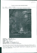 missile hits bosnian headquarters - Vintage Photograph