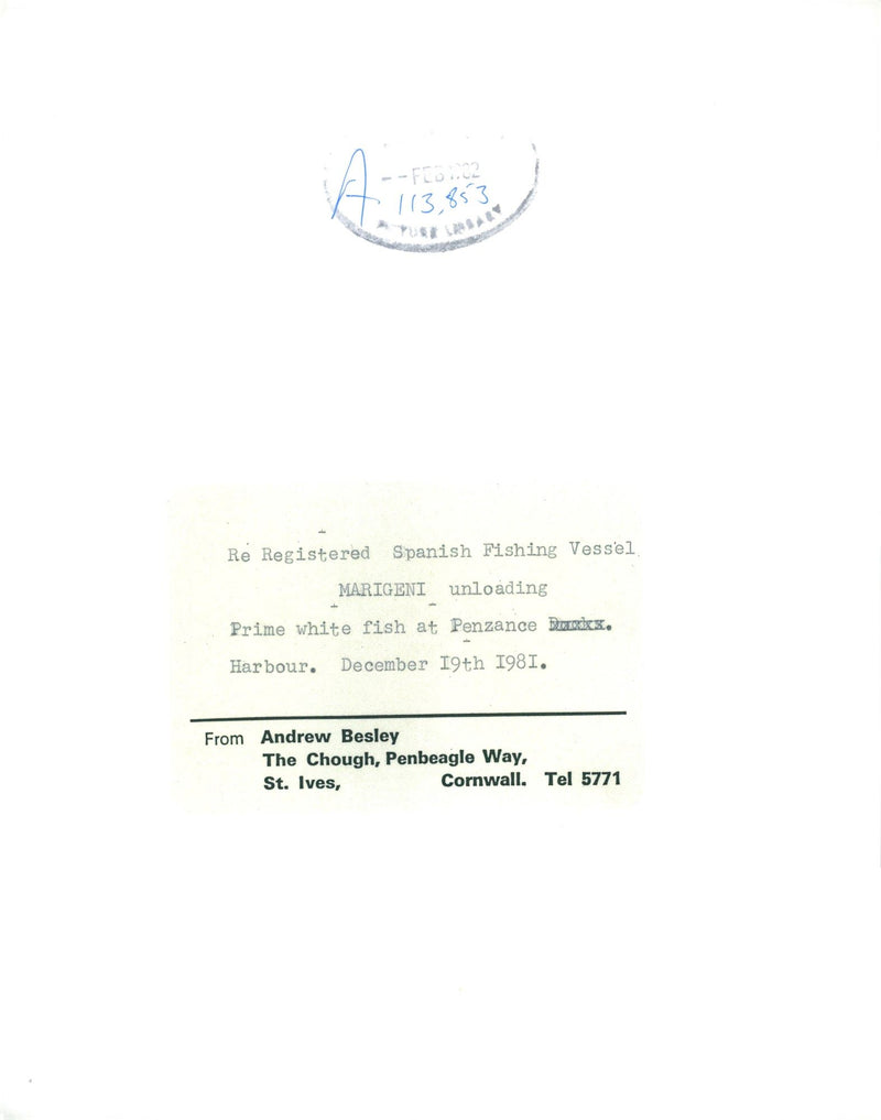 SS Minnedosa Ship, - Vintage Photograph