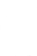 Eartha Kitt together with their dogs during a "Dog Walk" against cancer in Riverside Park - Vintage Photograph