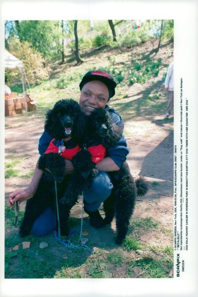 Eartha Kitt together with their dogs during a "Dog Walk" against cancer in Riverside Park - Vintage Photograph