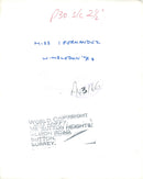 Miss Fernandez Tennis, - Vintage Photograph