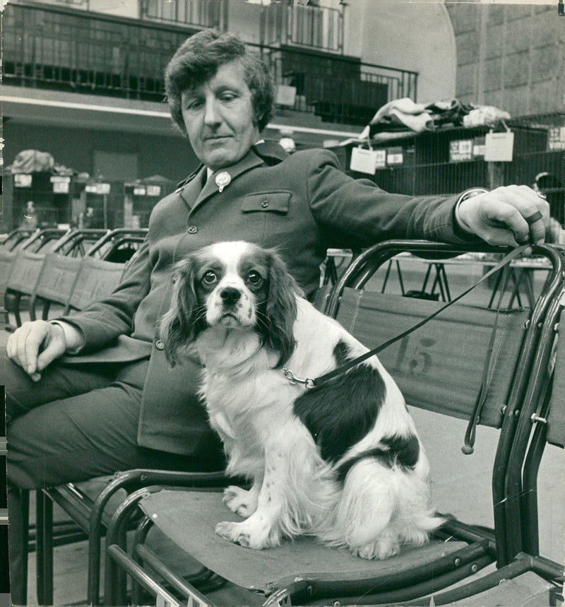Spaniel Dogs, with mr john evans. - Vintage Photograph