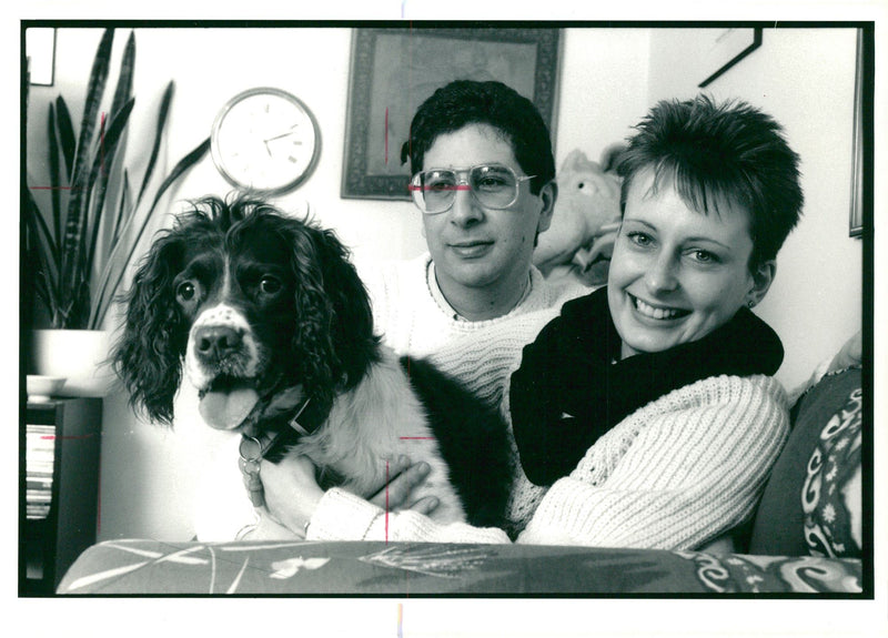 Spaniel Dogs - Vintage Photograph