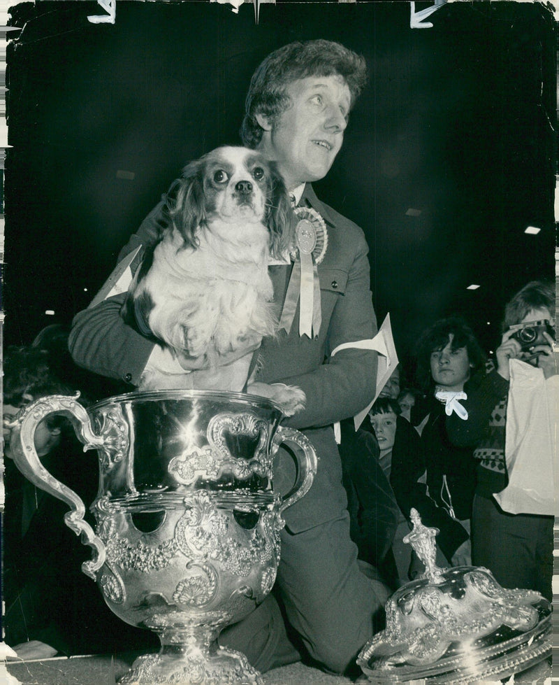 Spaniel Dogs - Vintage Photograph