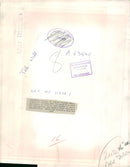 alsatian dog with barbara hughes - Vintage Photograph