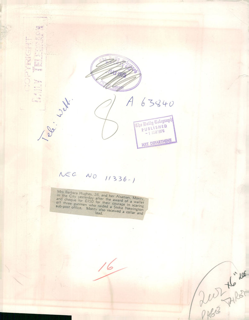 alsatian dog with barbara hughes - Vintage Photograph