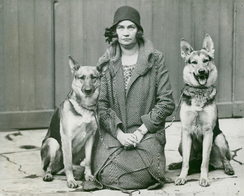 alsatian dog with o brien - Vintage Photograph