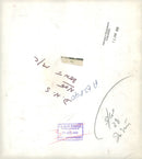 alsatian dog - Vintage Photograph