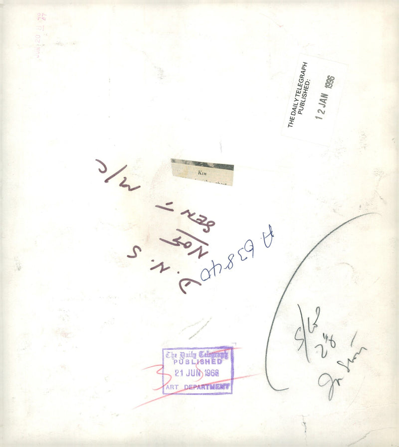 alsatian dog - Vintage Photograph