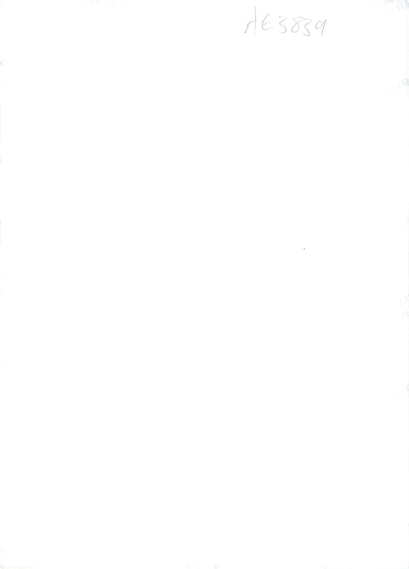 Dalmatian dog with lyn diable - Vintage Photograph