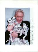 Dalmatian dog with lyn diable - Vintage Photograph