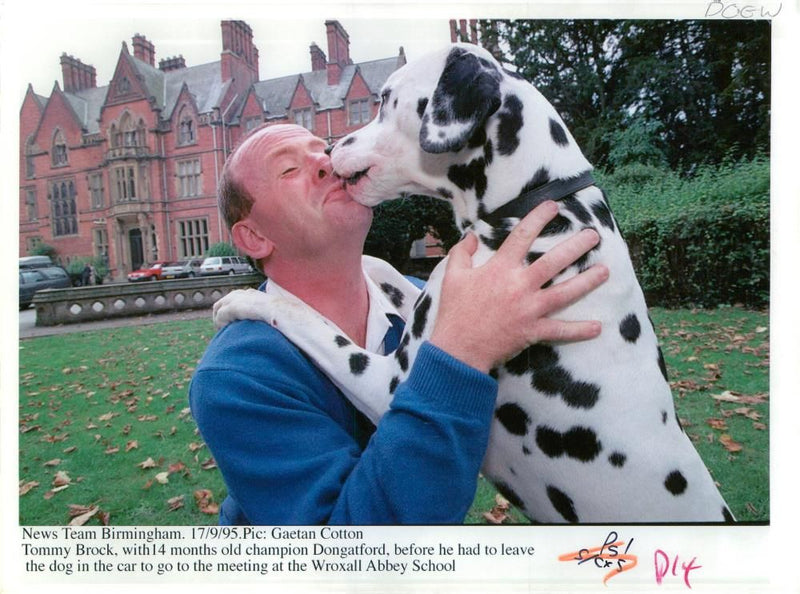 Dalmatian dog with tommy brock - Vintage Photograph