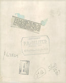 Dalmatian dog - Vintage Photograph