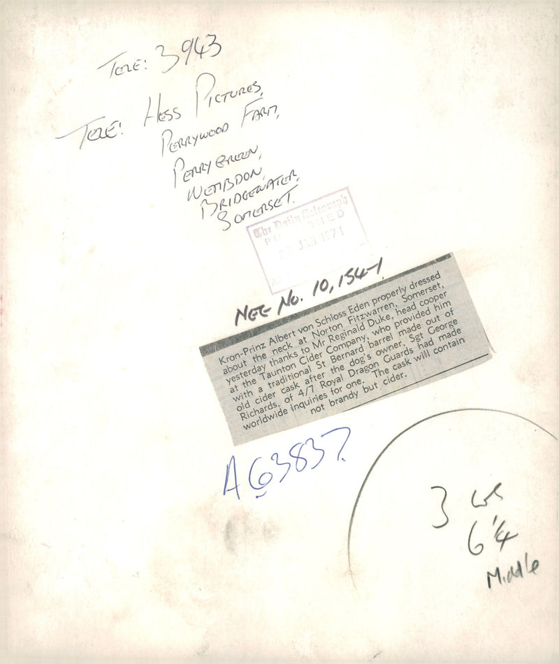 Dogs white bull terriers.Kron prinz albert von schloss eden. - Vintage Photograph