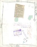 Chow dogs - Vintage Photograph