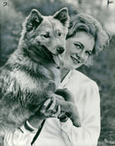 Chow dogs - Vintage Photograph