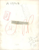 Sealyham Terrier - Vintage Photograph