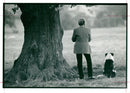 Sheepdogs: one man and his dog, 29.09.1990. - Vintage Photograph