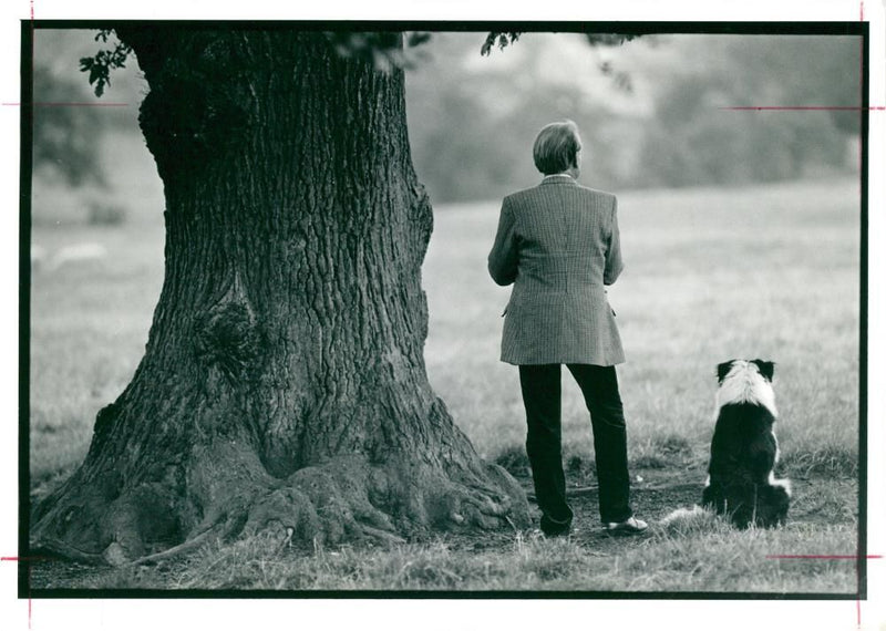 Sheepdogs: one man and his dog, 29.09.1990. - Vintage Photograph