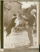 Mr. John Murray and his sheepdog "Jen", February 1988. - Vintage Photograph