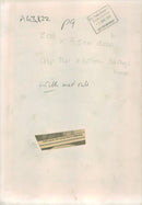 Polish pooch: the newest line in sheepdog, 01.08.1987. - Vintage Photograph