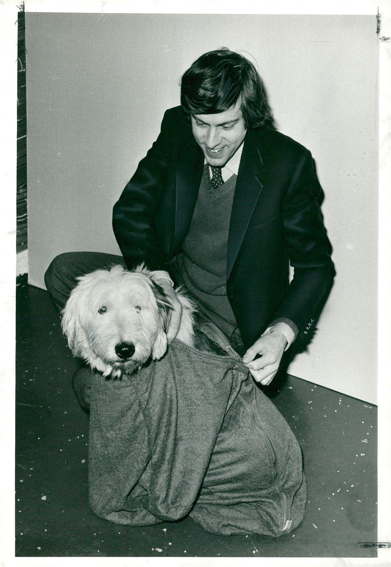 Anthony Green fits Harry the sheepdog with a new overcoat, 11.02.1980. - Vintage Photograph