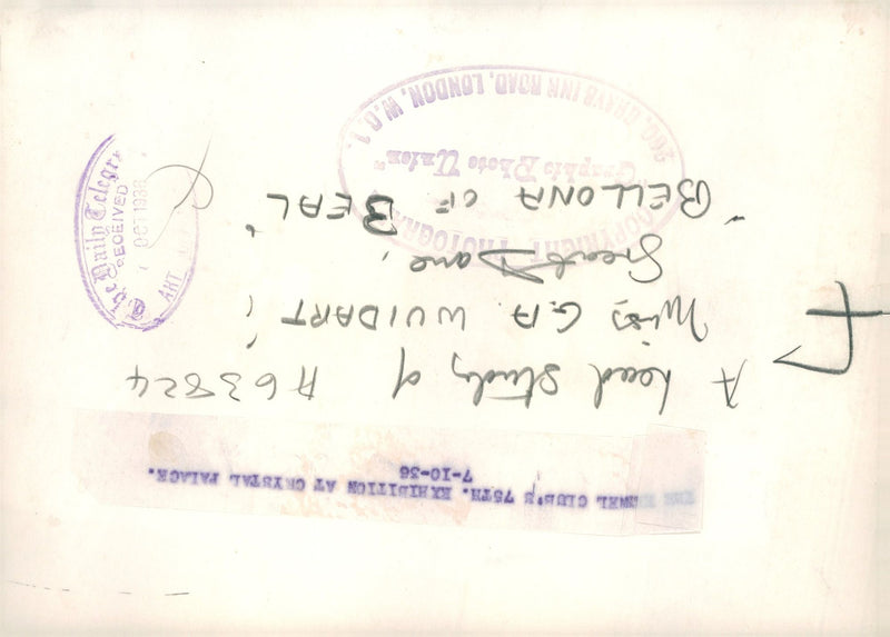 Dog Great Dane, "Bellona of Beal", October 1936. - Vintage Photograph