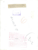 A 10 week-old Great Dane, 03.06.1967. - Vintage Photograph