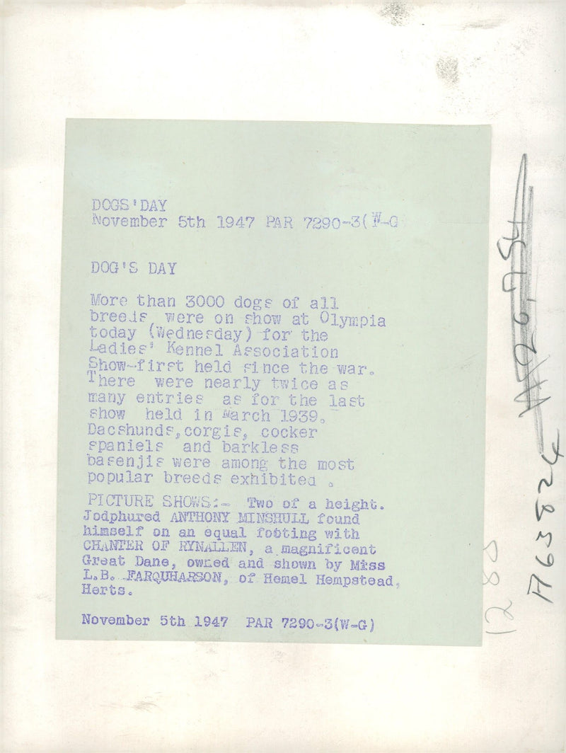 Great Dane "Chanter of Rynallen" with Anthony Minshull on dog's day, 05.11.1947. - Vintage Photograph