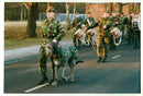The first Battalion Irish Guards and their Irish Wolfhound mascot "Malachy" leaving Elizabeth Barracks, Pirbright, 21.02.1994. - Vintage Photograph