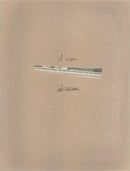 alsatian dog - Vintage Photograph