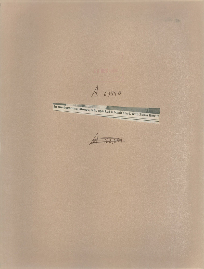 alsatian dog - Vintage Photograph